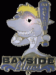 Flashing badge
